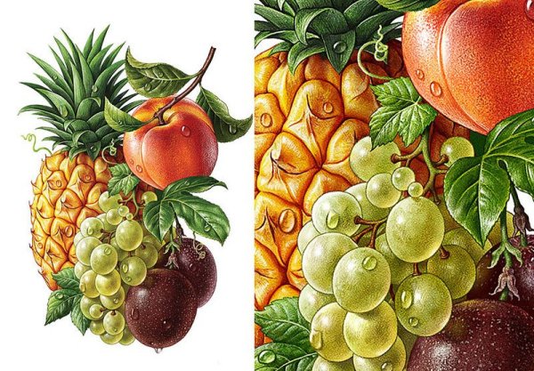 Рисовать фрукты