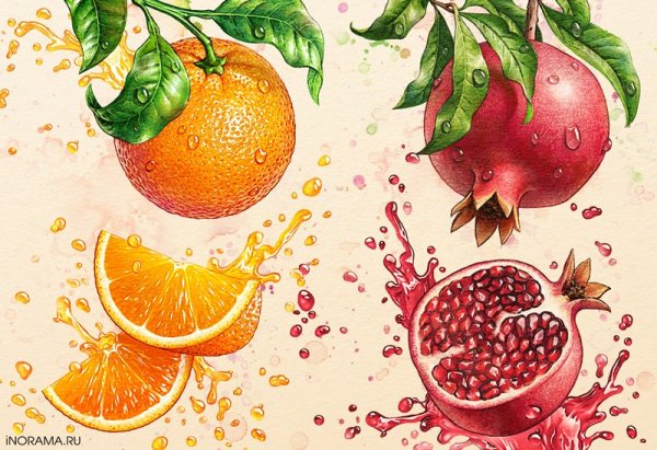 Рисование цветными карандашами фрукты