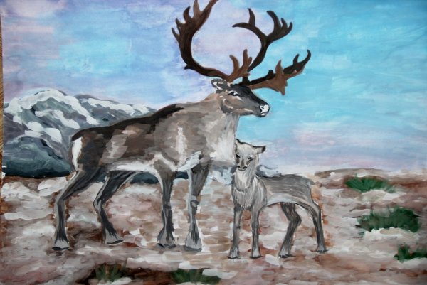 Рисование Северный олень