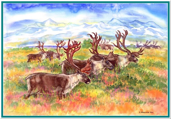 Рисование Северный олень