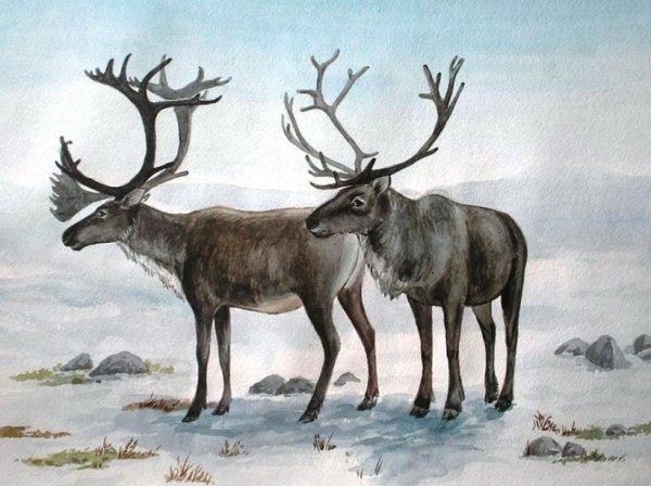 Северное сияние рисунок