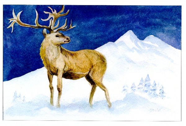 Красивые пейзажи с оленями