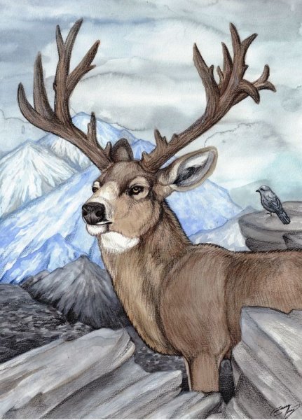 Арт Ханты манси чум