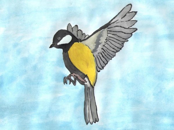 Синица в полете рисунок