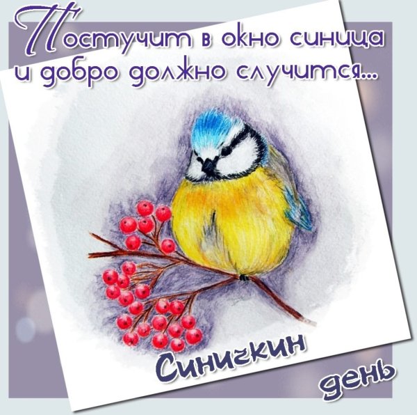 Синичкин день открытка