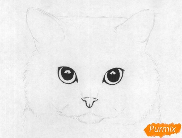 Котята для срисовки для начинающих