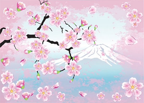 Ветка Сакуры фон