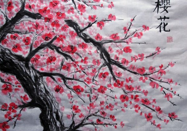 Сакура рисунок