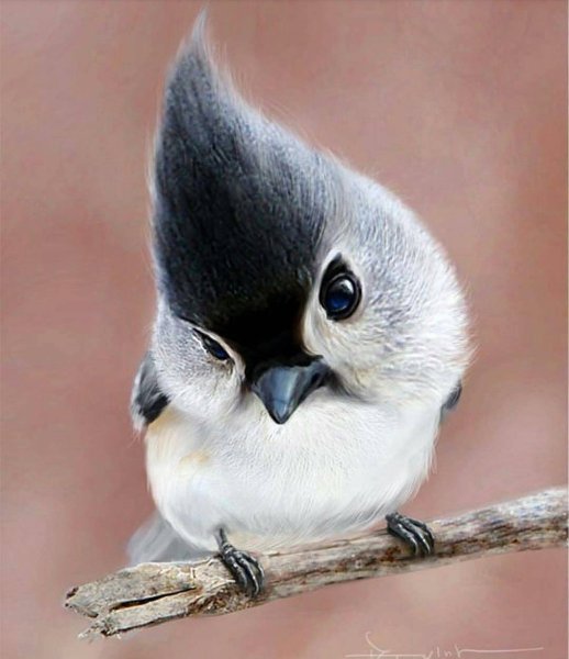 Кэрол Каваларис картины птицы