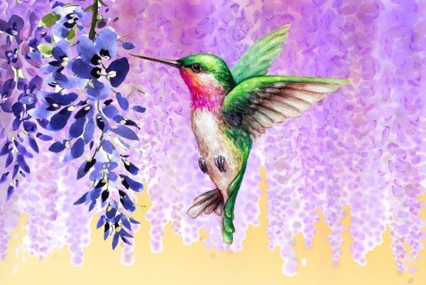 Влюбленные птицы