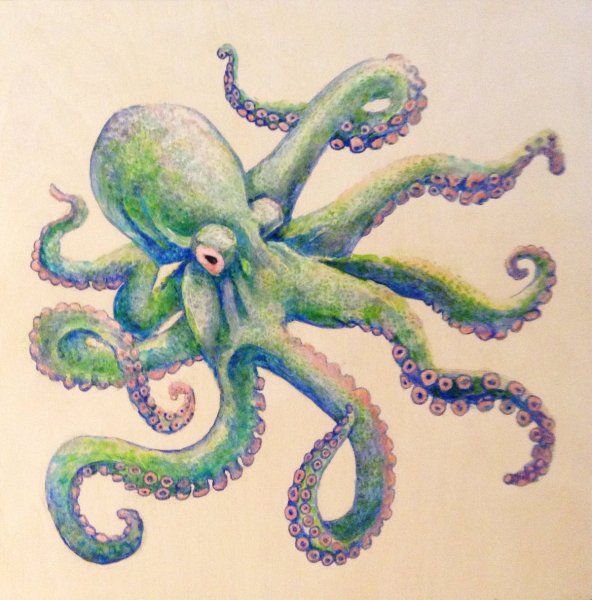 Осьминог цветными карандашами