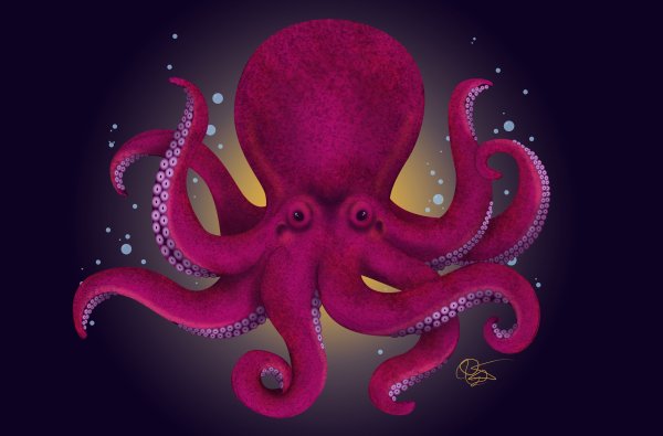 Осьминог арт