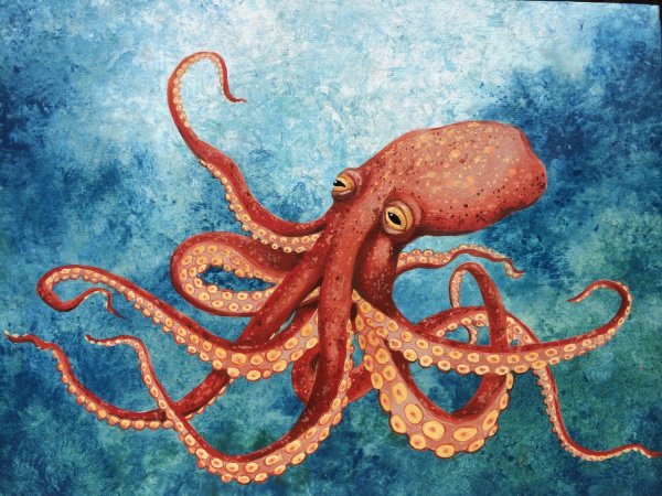 Морские обитатели для детей осьминог