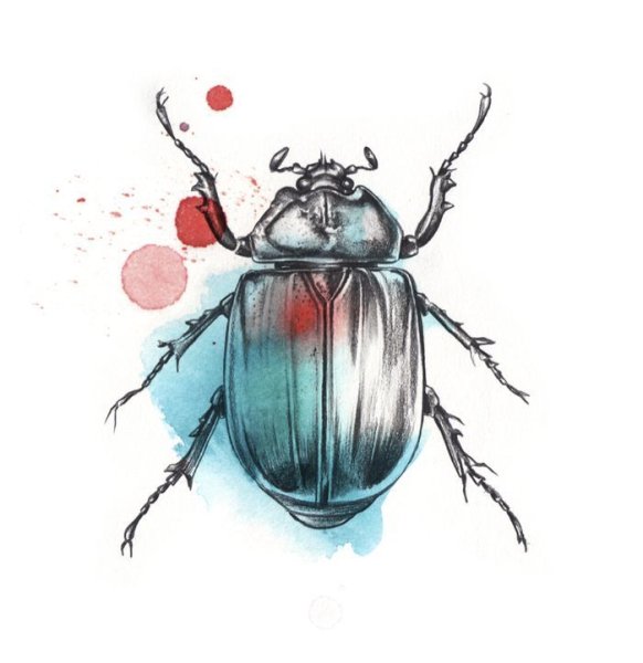 Майский Жук линером