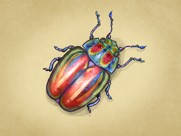 Жук карандашом