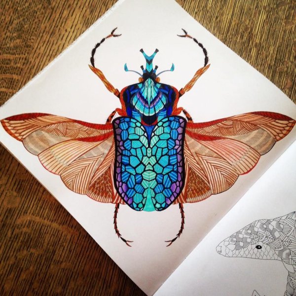 Наброски Жуков