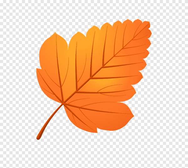 Красивые осенние листья трафареты