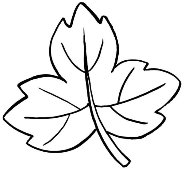 Листья рисунок