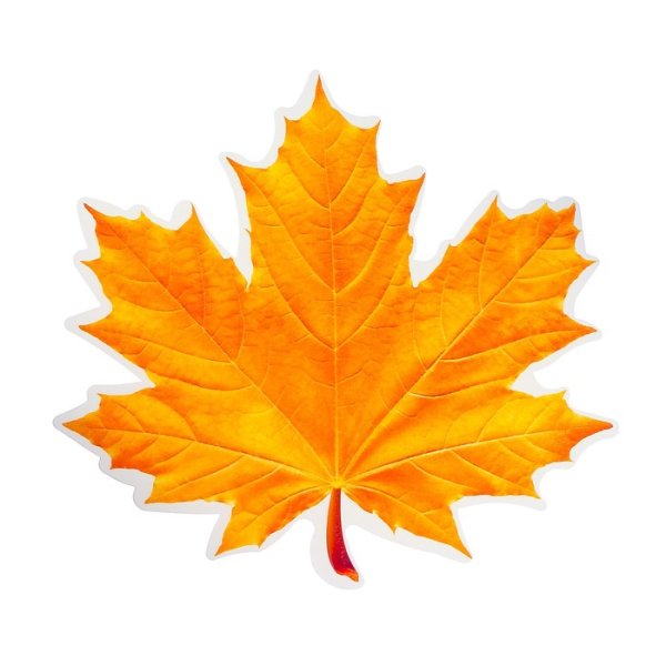 Осенние листья рисунок