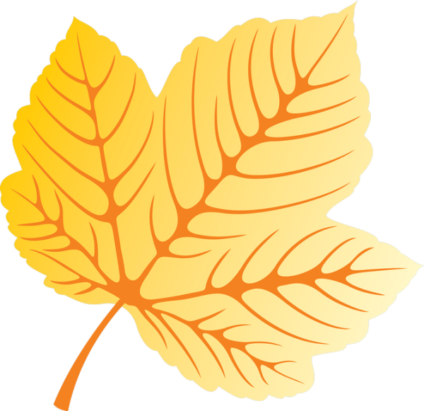 Кленовый лист оранжевый