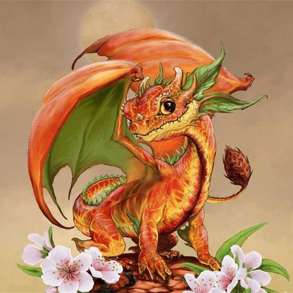 Драгон венгерская хвосторога