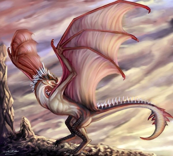 Милые драконы