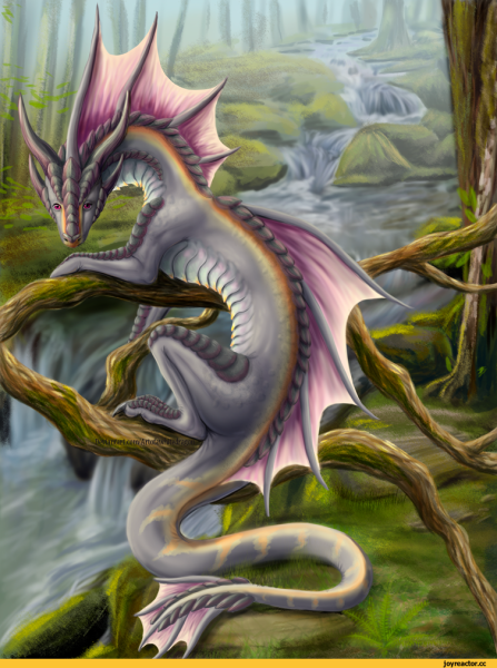 Рисунки водяных драконов