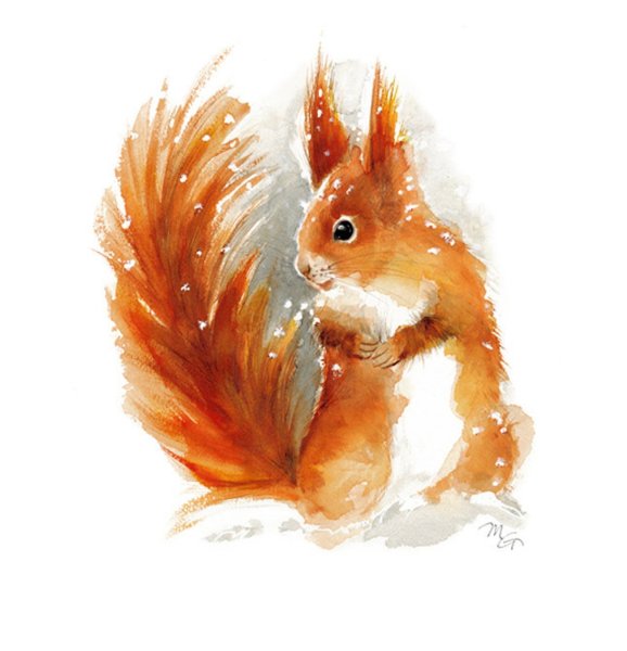 Бельчонок акварель