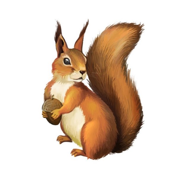 Сказочный Бельчонок