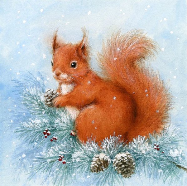 Иллюстрации милые белки