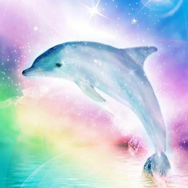 Цветной Дельфин