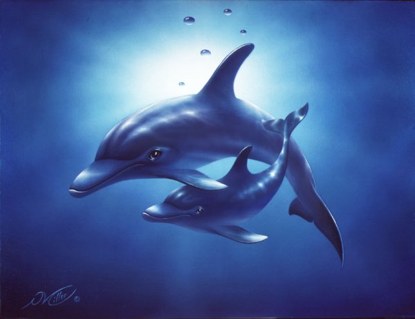 Аватар Дельфин