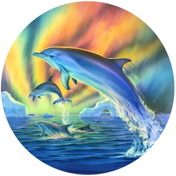 Фиолетовые дельфины