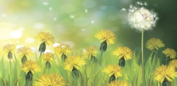 Рисование Поляна одуванчиков