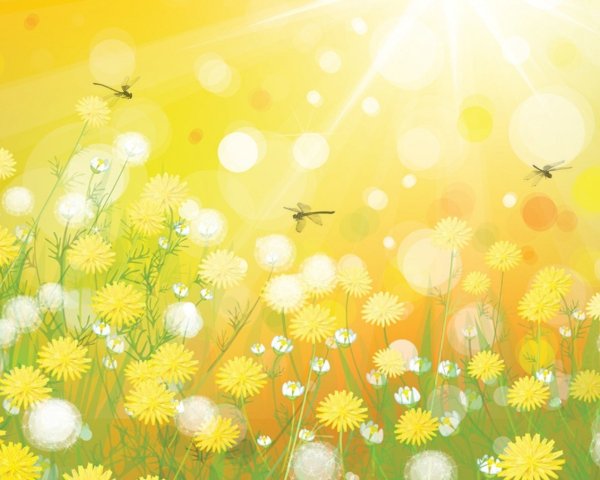Фон из одуванчиков