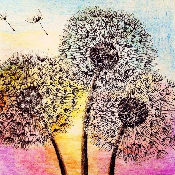 Одуванчик фломастером