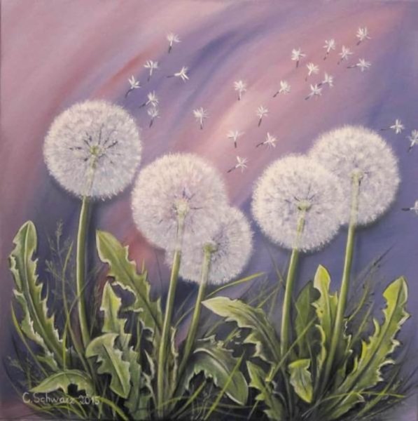 Живопись Ларисса Гамильтон , одуванчики