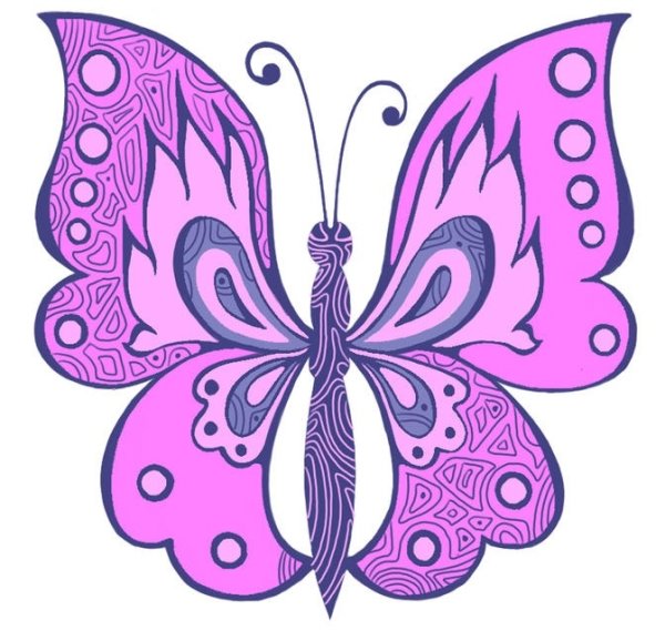 Бабочка для срисовывания