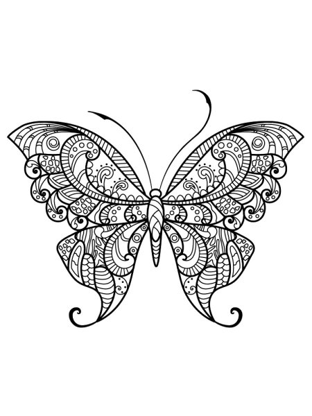 Раскраска "бабочки"