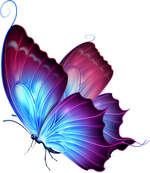Крылья бабочки