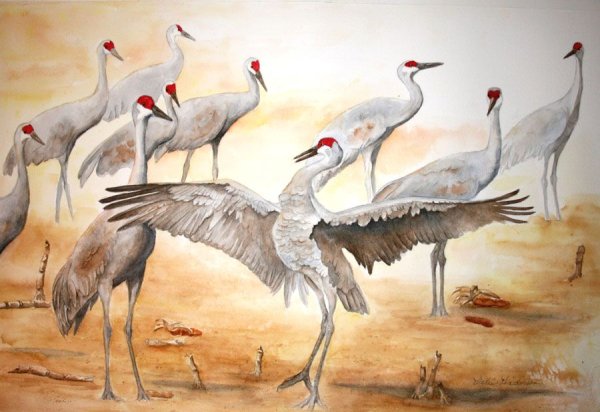 Журавль в произведениях