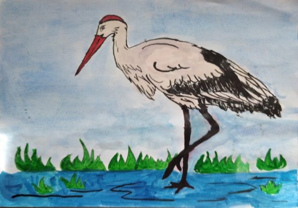 Журавль рисунок