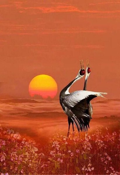 Журавли на закате