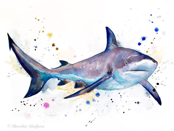 Морские животные акварелью