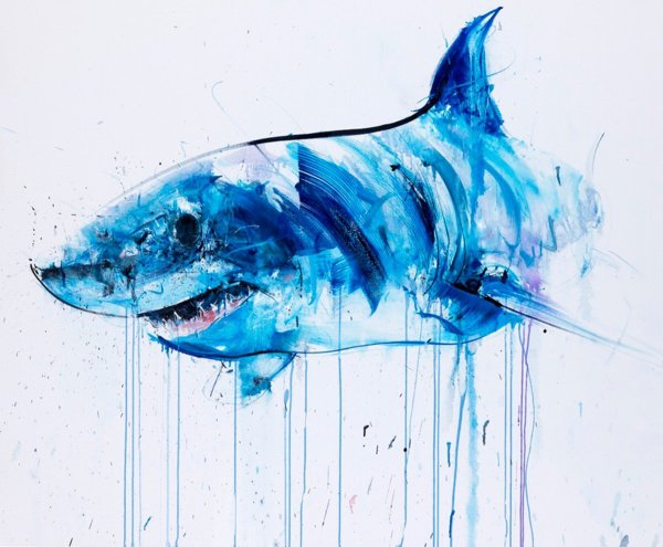Акула арт