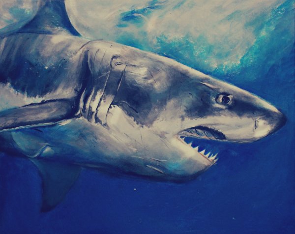Живопись с белой акулой