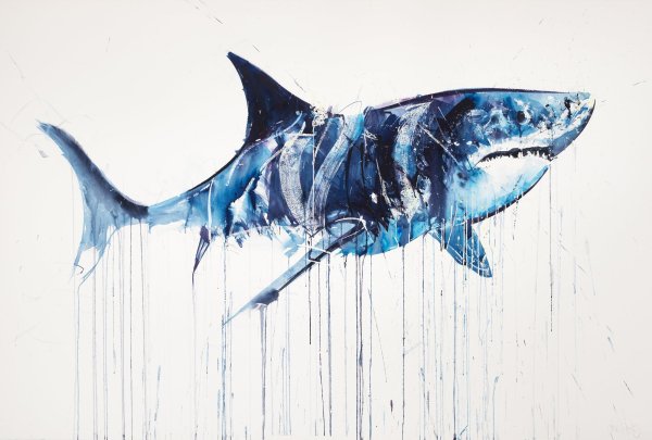 Акула акварелью