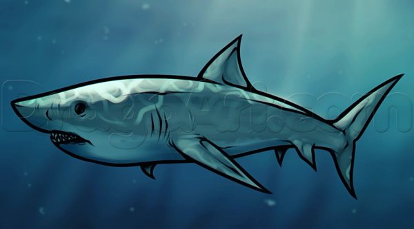 Кисаме МЕГАЛОДОН