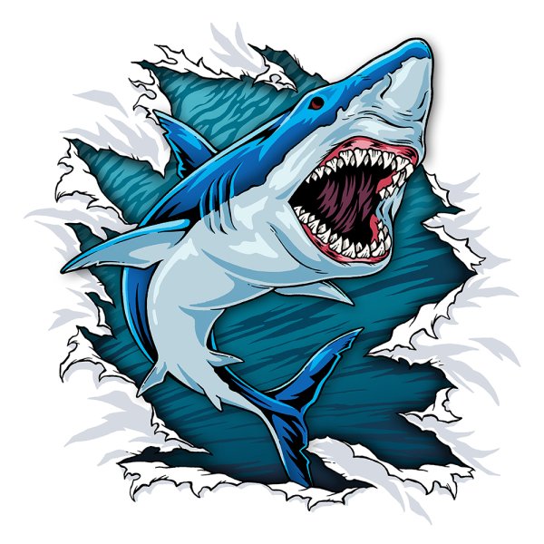 Акула Графика