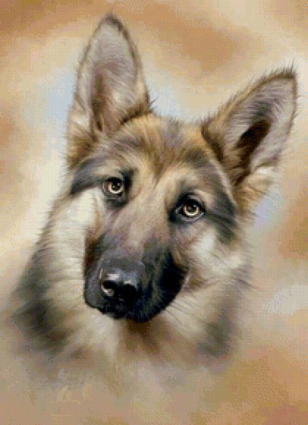 Немецкая овчарка Мухтар арт